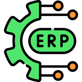 Expertise in ERP